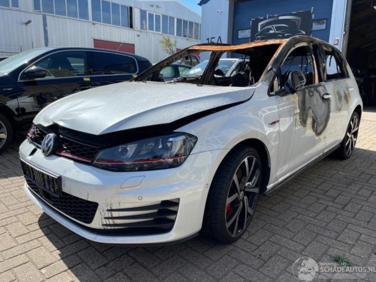 Volkswagen Golf Golf VII (AUA), Hatchback, 2012 / 2021 2.0 GTI 16V Performance Package