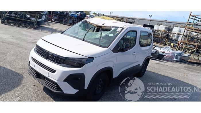 Peugeot Rifter Rifter (ER/EC/EZ), MPV, 2018 e-Rifter