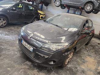 Renault Mégane  picture 10