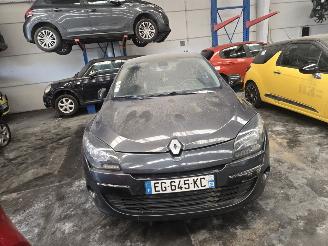 Renault Mégane  picture 3