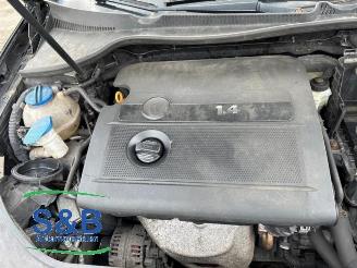 Volkswagen Golf Golf V (1K1), Hatchback, 2003 / 2010 1.4 16V picture 10