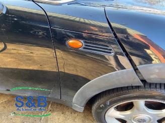 Mini Mini  picture 23