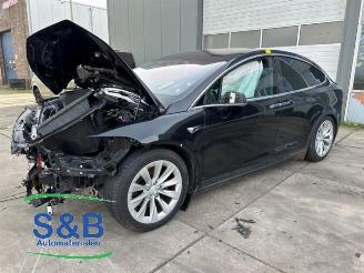  Tesla Model X Model X, SUV, 2013 P100D 2017/9