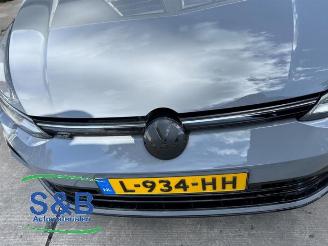 Volkswagen Golf Golf VIII (CD1), Hatchback, 2019 1.5 eTSI 16V picture 33