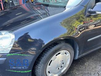 Volkswagen Golf Golf V (1K1), Hatchback, 2003 / 2010 1.9 TDI picture 11