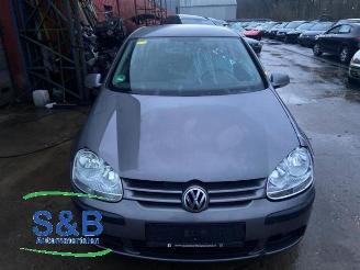 Volkswagen Golf Golf V (1K1), Hatchback, 2003 / 2010 1.4 16V picture 1