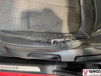 Renault Kadjar  picture 16