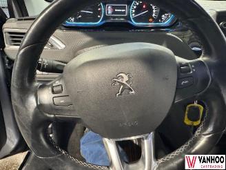 Peugeot 2008  picture 13