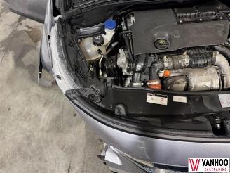 Peugeot 2008  picture 19