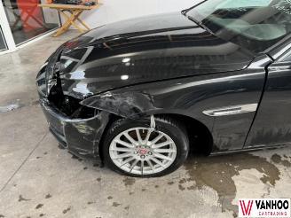 Jaguar XE  picture 2