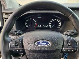 Ford Transit TOURNEO CUSTOM picture 23