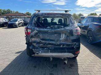 Ford Kuga 1.5TDCI Titanium  2019 picture 6