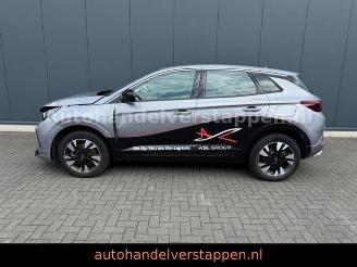 Opel Grandland X PHEV 165KW Hybrit picture 6