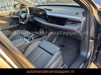 Audi Q6 e-tron 215KW S-LINE Daytonagrau Matrix 3 disp picture 21