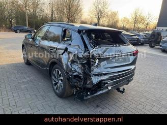 Audi Q6 e-tron 215KW S-LINE Daytonagrau Matrix 3 disp picture 8