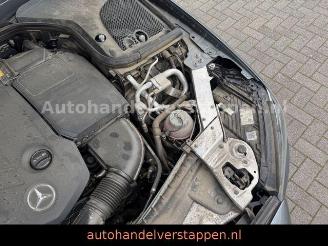 Mercedes E-klasse 300 d 4Matic AMG Sport Pano Burm AHK picture 11